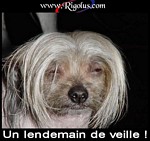 Retour d'un dejeuner